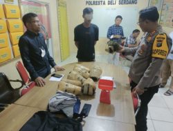 Peredaran Ganja Antar Propinsi Digagalkan Sat Narkoba Polresta Deli Serdang