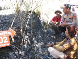 2 Pembakar Hutan Samosir Diamankan Polisi