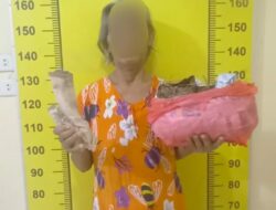 Polresta Deli Serdang Amankan Ibu Memiliki 844 Gram Ganja Kering