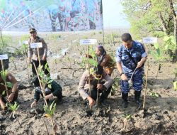 TNI Bersama Polresta Deli Serdang dan Pemkab Ikuti Vidcon serta Tanam Bibit Mangrove 