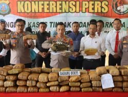 Ganja 173 Kg Diamankan Polresta Deli Serdang dengan 3 Tersangka