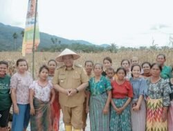 Gapoktan Arih Ersada Sampaikan Terima Kasih kepada Bupati Dairi atas Bantuan Alsintan