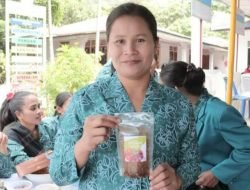 “Produk Unik” Sambut Kunjungan Bunda PAUD Provinsi di Kecamatan Silahisabungan