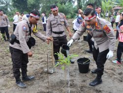 Rayakan HUT RI Ke 78, Jajaran Polresta Deli Serdang Tanaman Pohon Serentak