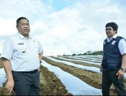 Cerita Berdirinya KPT Parbuluan oleh Bupati Dairi Eddy Berutu