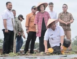Wujudkan Agri Unggul, Bupati Eddy Berutu Terapkan Mekanisme Fertigasi di KPT Parbuluan