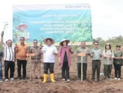 Kembalikan Kejayaan Kopi Sidikalang, Bupati Dairi Tanam Bersama di KPT Parbuluan V