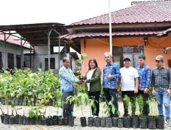 Pemkab Samosir Terima Bantuan Bibit Tanaman dari Dinas Lingkungan Hidup dan Kehutanan Provsu