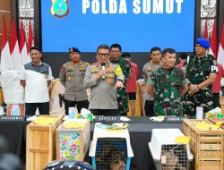 Polda Sumut dan Kodam Gagalkan Penyelundupan Moge Hingga Ayam Siam Senilai Rp20 Miliar