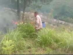 Kebakaran Lahan di Desa Turpuk Limbong Samosir Dapat Diatasi