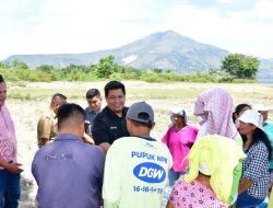 Kelompok Tani Dosniroha Desa Sitolu Huta Tanam Bawang Merah Bersama Bupati Samosir