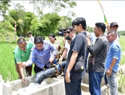 Tingkatkan Produktifitas Pertanian, Bupati Samosir Vandiko T. Gultom, ST Resmikan PLTS Pompa Air