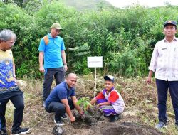 Cegah Bencana Pemkab Samosir Tanam Pohon di Wilayah Rawan Bencana