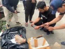 Orang Tak Dikenal Kirim Kardus Berisi Kepala Babi ke Kantor Tempo