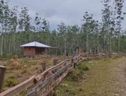 Tim Balai Perhutani, Cek Fakta Pengelolaan HKM Kelompok Tani Hutan Dosroha