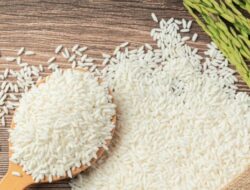 Harga Beras di Indonesia Ada Tembus Rp 54 Ribu/Kg