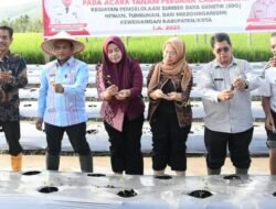 Walikota Letnan Tanam Perdana Cabe Merah di Manunggang Jae