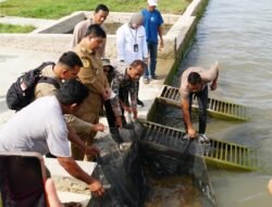 Kolaborasi Jaga Alam Danau Toba, LKBN ANTARA dan Pemkab Samosir Tebar Benih Ikan Mas