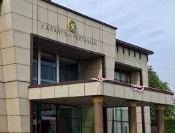 Pelayanan Karantina Domestik Pengiriman Ayam Ditutup, Peternak Menjerit, Instansi Berwenang Diminta Turun Tangan