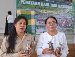 DPD TMI Samosir, Apresiasi Perolehan Sertifikat IG Andaliman dan Peluncuran Kopi Typica