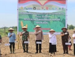 Polresta Deli Serdang Tanam Jagung Serentak Kuartal IV Guna Tingkatkan Swasembada Pangan