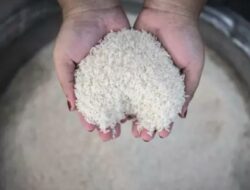 Sebanyak 29 Ribu Ton Beras Cadangan Pemerintah Rusak, Mentan: Bisa Digunakan Pakan Ternak