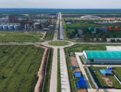 94 WNA Tanpa RPTKA Diduga Bekerja di KEK Sei Mangkei