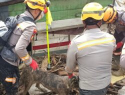 Unit K-9 Polda Sumut Kembali Temukan Korban Banjir Bandang Tapsel