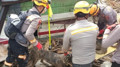 Unit K-9 Polda Sumut Kembali Temukan Korban Banjir Bandang Tapsel