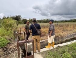 Pembangunan Pompa Air Tenaga Surya di Desa Sibonoroppuratus, Solusi Inovatif untuk Pertanian Berkelanjutan