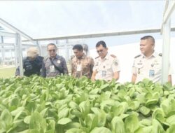 Panen Raya Serentak Kemenimipas, Hasil Panen Lapas Binjai Untuk Masyarakat Terdampak Bencana