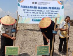 Kanwil Ditjenpas Sumut Tancap Gas Dukung Ketahanan Pangan Nasional, Tanam Jagung Perdana di Lahan Air Joman