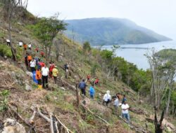Wakil Bupati Samosir Tanam Pohon di Kawasan Gunung Pusuk Buhit, Dukung Pelestarian Lingkungan Danau Toba