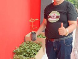 Warga Sambut Gembira Pemberian Bibit Andaliman dari Nikolas Naibaho, Ketua Yayasan Siraja Batak