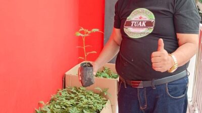 Warga Sambut Gembira Pemberian Bibit Andaliman dari Nikolas Naibaho, Ketua Yayasan Siraja Batak