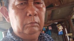 PMPHI Sumut : Ledakan Pengangguran Bertambah di Aceh, Sumut dan Sumbar -Akibat Tutupnya Industri Perkayuan