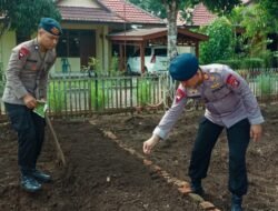 Lahan Kosong Jadi Sumber Pangan, Brimob Sumut Kembangkan P2L di Batalyon C