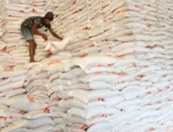 RI Impor 1.000 Ton Beras dan 580.000 Ayam dari AS