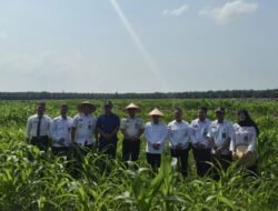 Dirpamintel Ditjenpas Tinjau Ketahanan Pangan dan Laksanakan Monev Pengamanan di Lapas Kelas IIA Labuhan Ruku