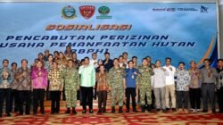 Gubsu Minta Kajian Mendalam Pencabutan Izin Hutan