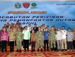 Gubsu Minta Kajian Mendalam Pencabutan Izin Hutan