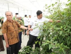 Bupati Samosir Dukung Pengembangan Pertanian Berbasis AI Di Danau Toba