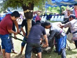 Mangase Taon di Bius Salaon: Tradisi Sakral Batak yang Memperkuat Persatuan