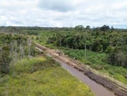 Sumber Air Dikaji BRIN & Kementan, Kemenko Pangan Target Swasembada Bawang Putih Samosir