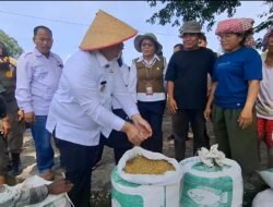 Dari Rp800 Ribu Jadi Rp200 Ribu per 2 Rante,Vandiko : Alat Ini Milik Semua Petani, Bukan Kelompok Saja