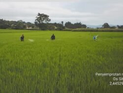 Fungisida & Insektisida Gratis dari Pemkab, Kadis Tumiur: Satu Desa Serentak, Jangan Kasih Kendor Hama