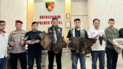 Satreskrim Polres Tapsel Gagalkan Perdagangan Ilegal Satwa Dilindungi