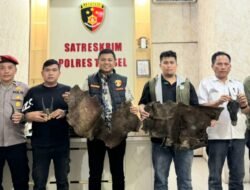 Satreskrim Polres Tapsel Gagalkan Perdagangan Ilegal Satwa Dilindungi