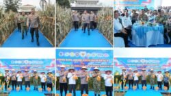 Polda Sumut Ikuti Panen Raya Jagung Serentak Polri Bersama Presiden Prabowo, Dukung Ketahanan Pangan Nasional