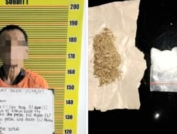 Edarkan Sabu dan Ganja dari Rumah, Pria 55 Tahun di Medan Tembung Ditangkap Polda Sumut